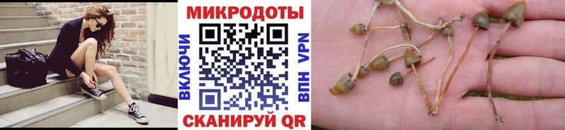 Галлюциногенные грибы Magic Shrooms где купить Разумное
